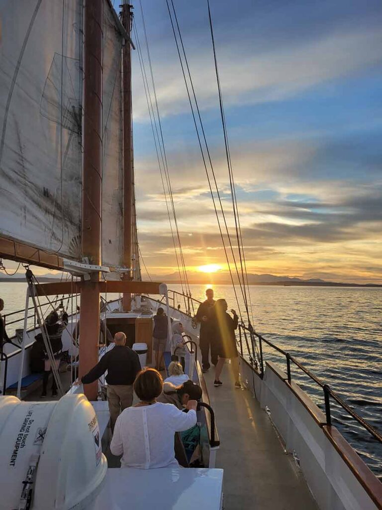 sunset sailboat seattle